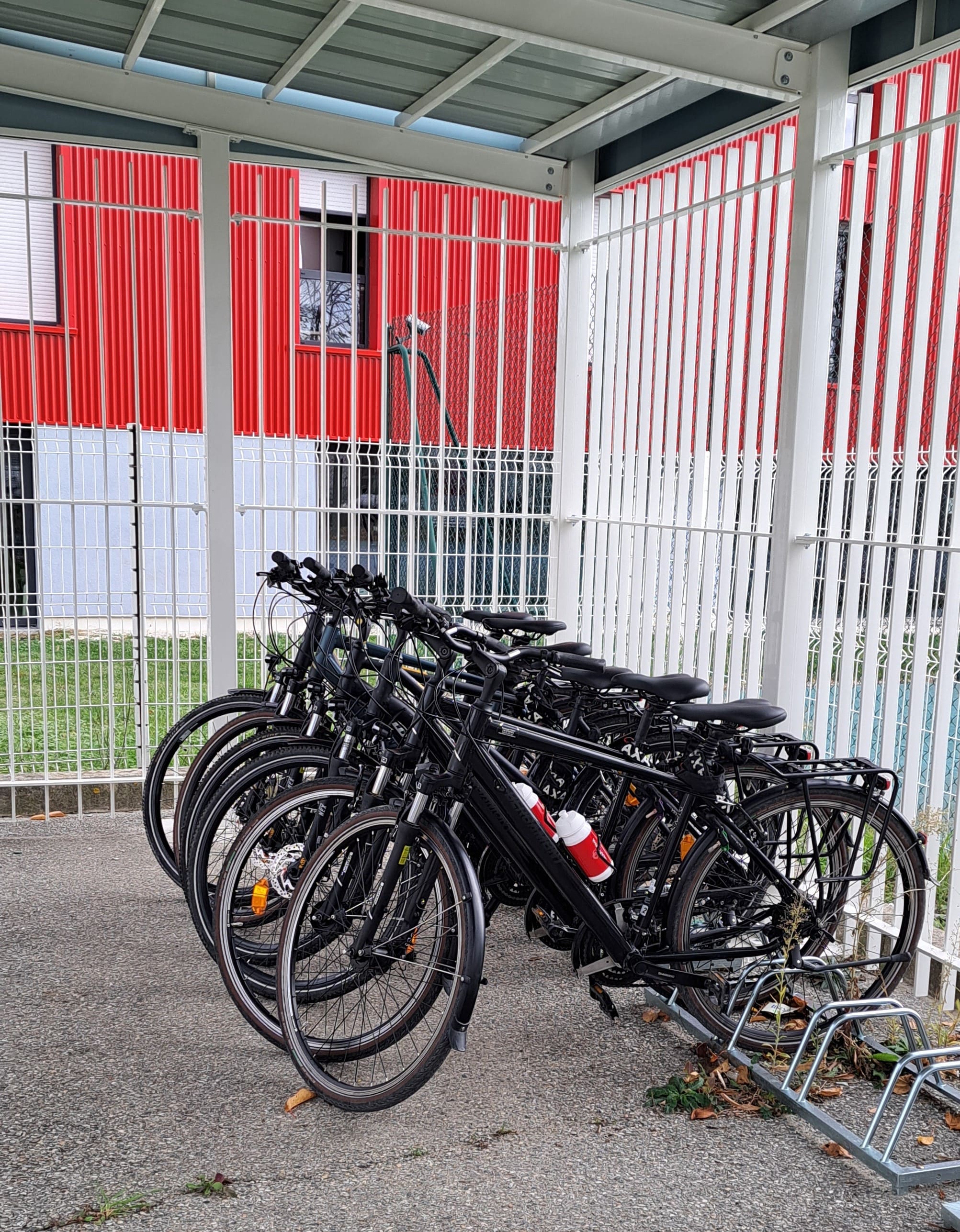 Vélos IUT