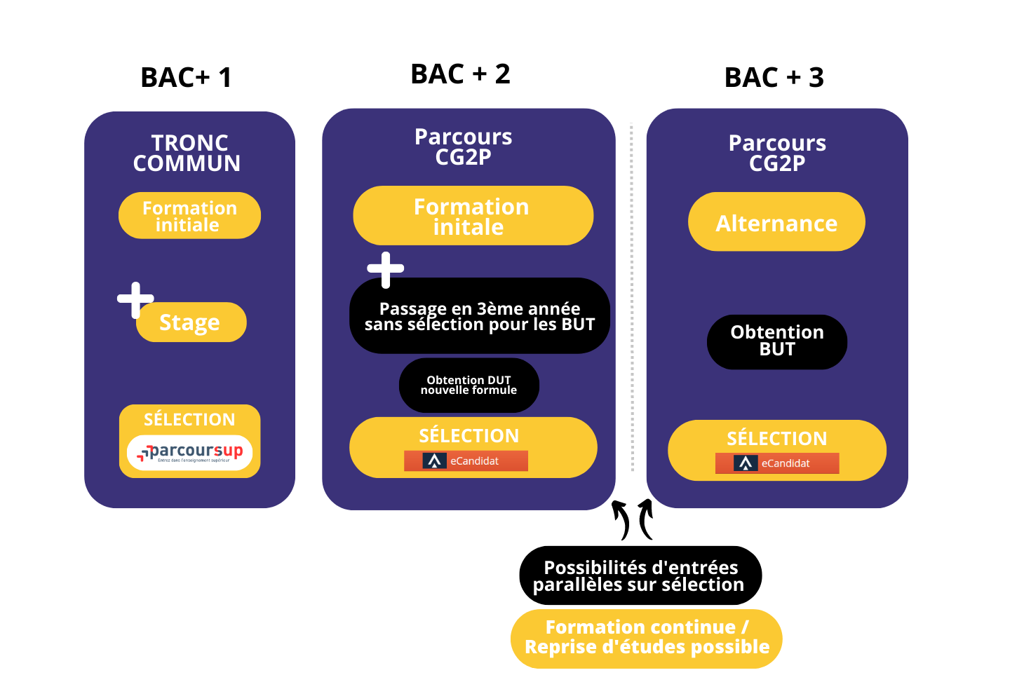GEA - Parcours CG2P IUT de Valence