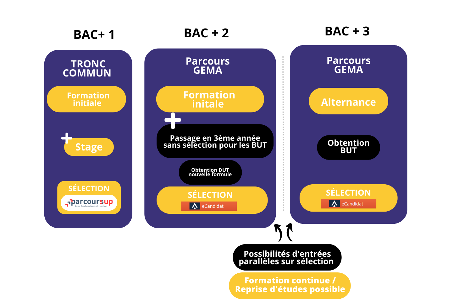 GEA - Parcours GEMA IUT de Valence