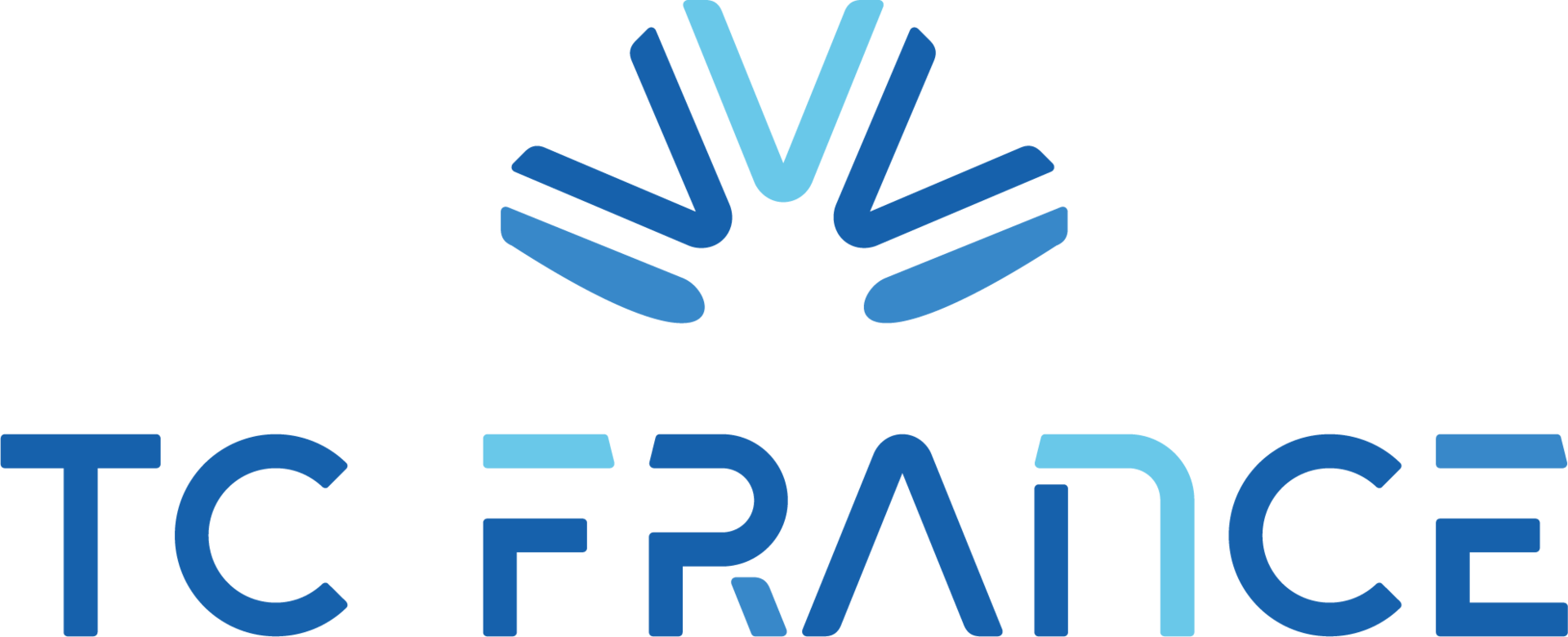 LOGO TC FRANCE