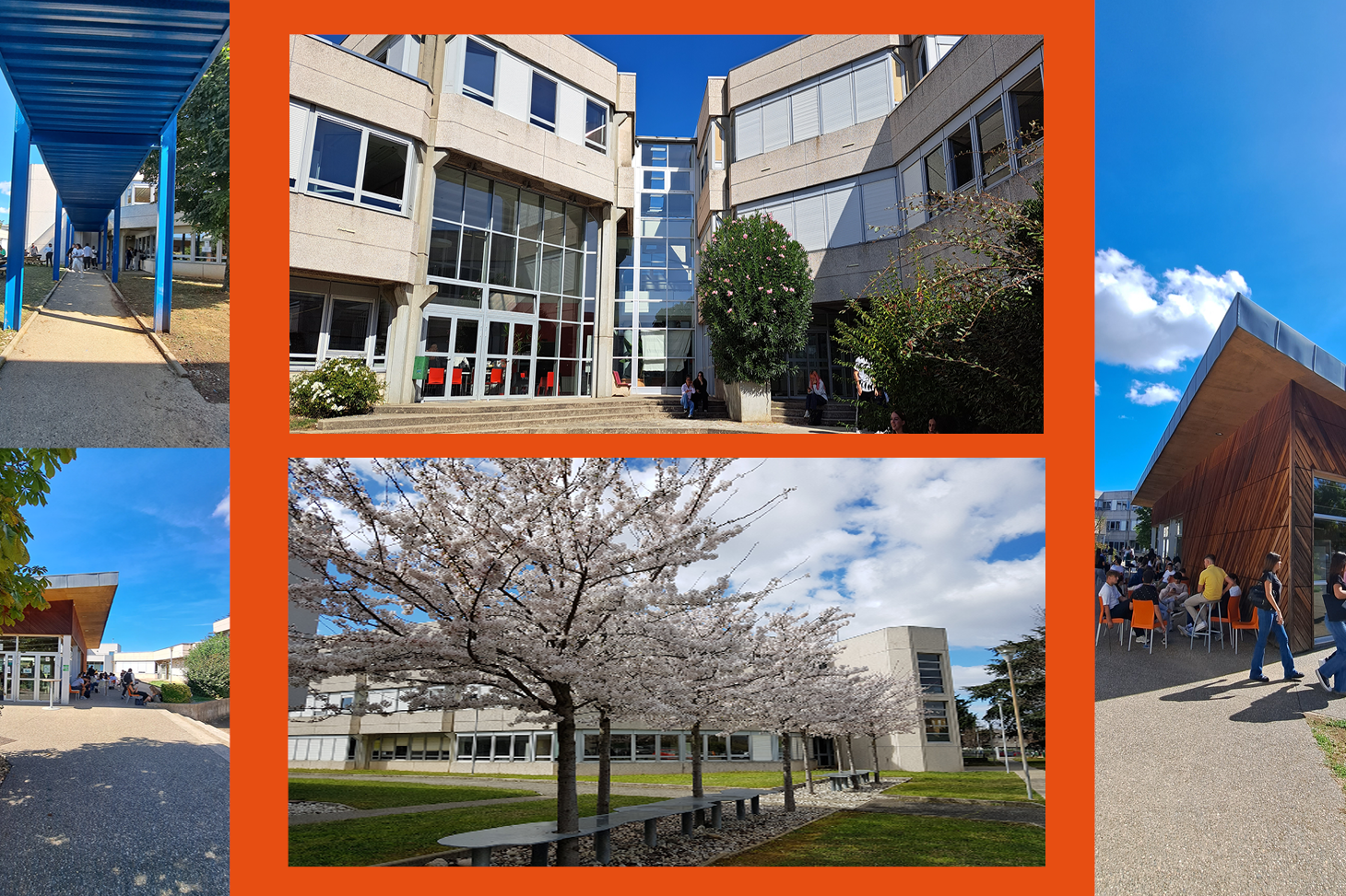 international-students
